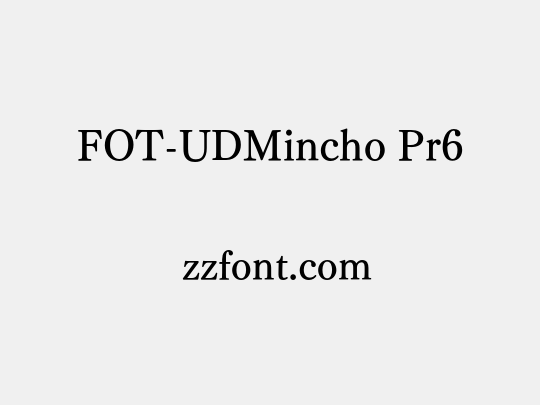 FOT-UDMincho Pr6