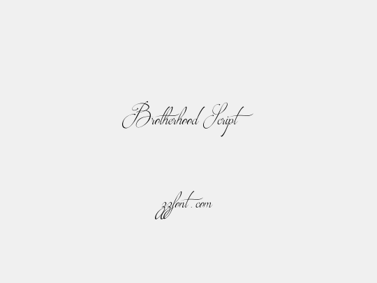 Brotherhood Script