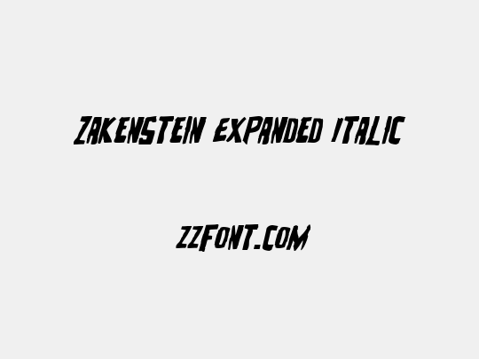 Zakenstein Expanded Italic