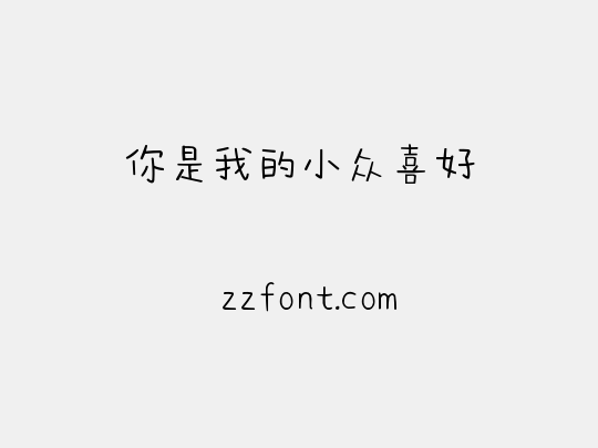 你是我的小众喜好