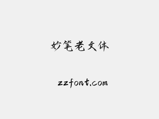 妙笔老文体