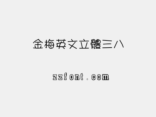 金梅英文立體三八