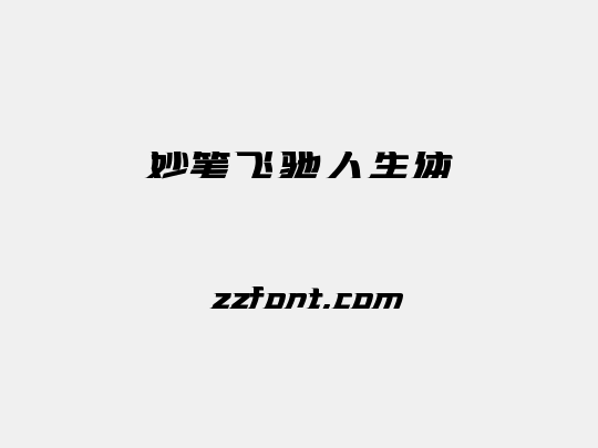 妙笔飞驰人生体