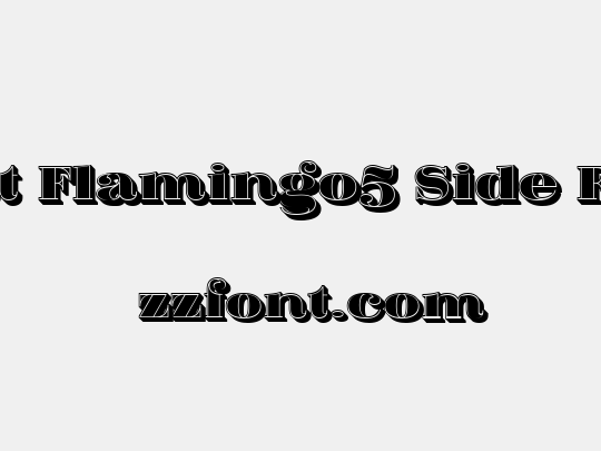 Fat Flamingo5 Side Fill