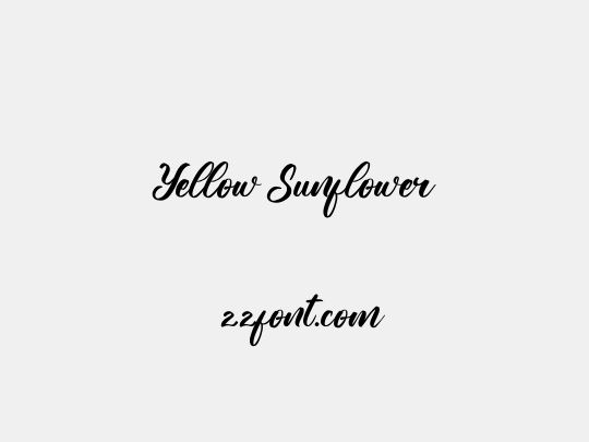 Yellow Sunflower