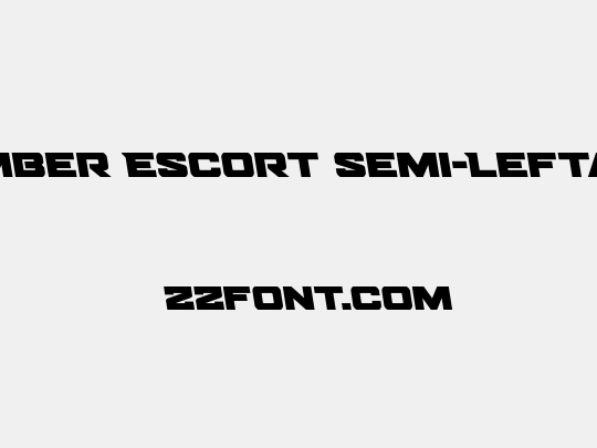 Bomber Escort Semi-Leftalic