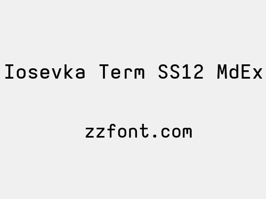 Iosevka Term SS12 MdEx