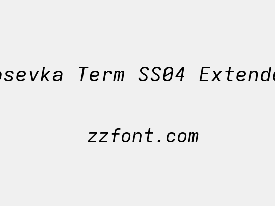 Iosevka Term SS04 Extended