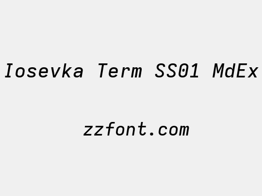 Iosevka Term SS01 MdEx