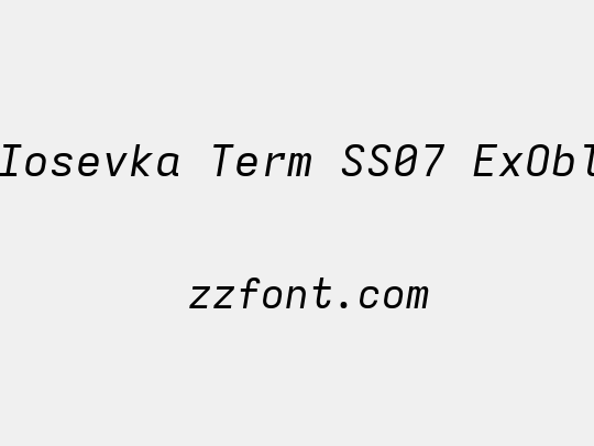 Iosevka Term SS07 ExObl