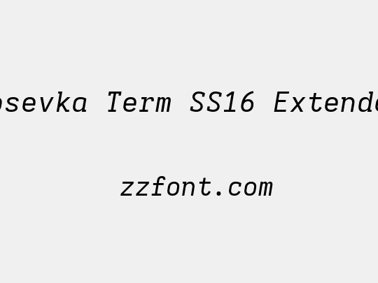 Iosevka Term SS16 Extended
