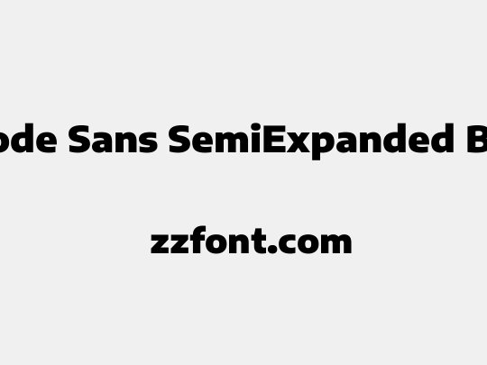 Encode Sans SemiExpanded Black