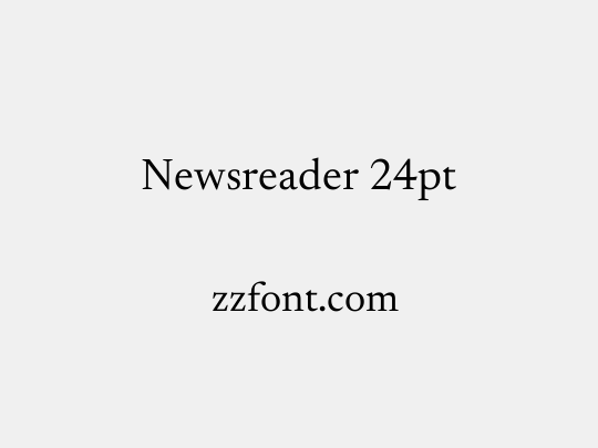Newsreader 24pt