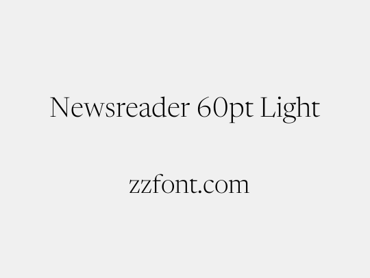 Newsreader 60pt Light