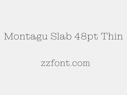 Montagu Slab 48pt Thin