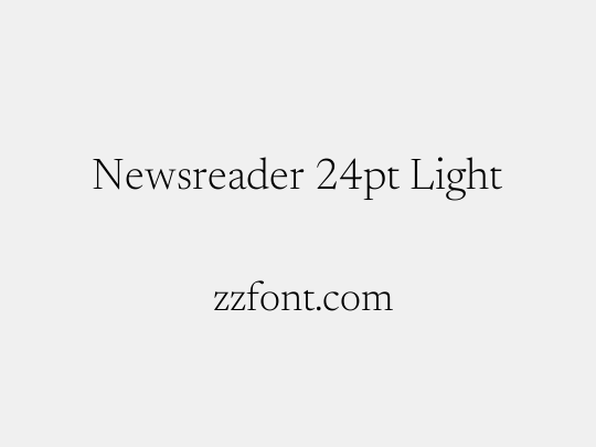 Newsreader 24pt Light