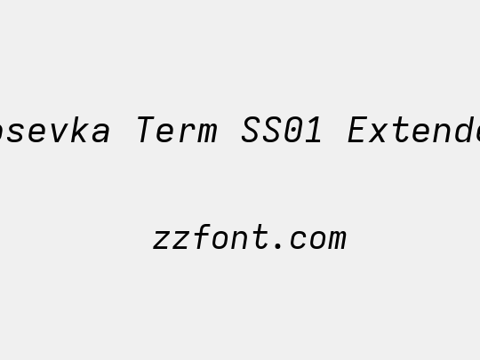 Iosevka Term SS01 Extended