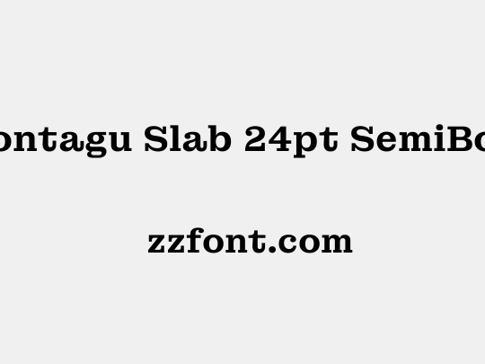 Montagu Slab 24pt SemiBold
