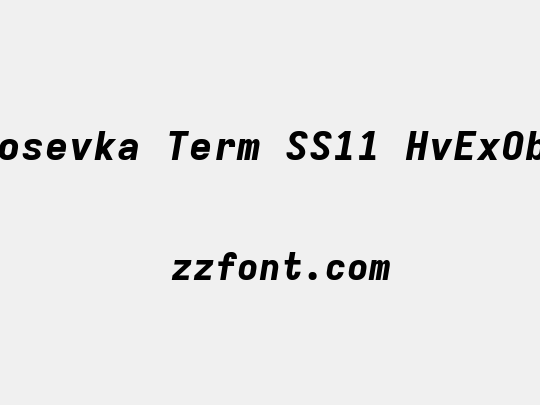 Iosevka Term SS11 HvExObl