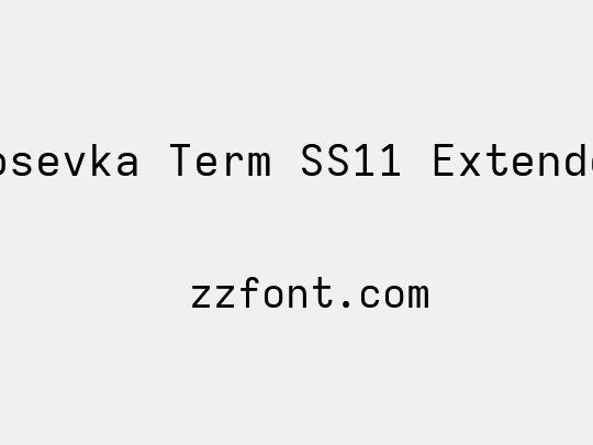 Iosevka Term SS11 Extended