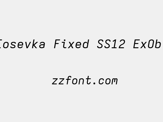 Iosevka Fixed SS12 ExObl