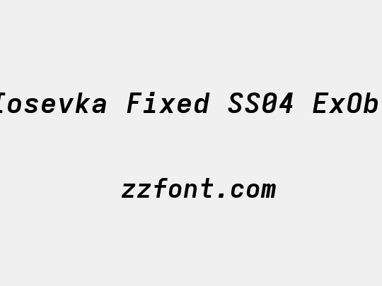 Iosevka Fixed SS04 ExObl