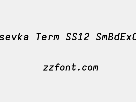 Iosevka Term SS12 SmBdExObl