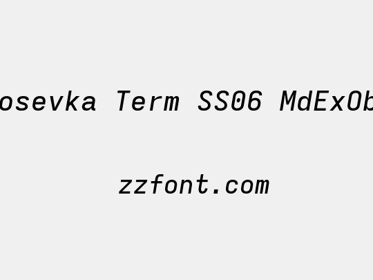 Iosevka Term SS06 MdExObl