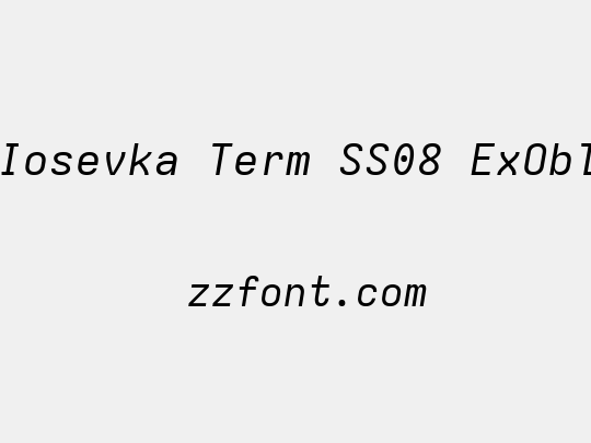 Iosevka Term SS08 ExObl