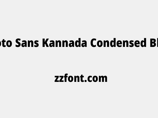Noto Sans Kannada Condensed Black