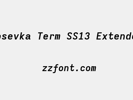 Iosevka Term SS13 Extended
