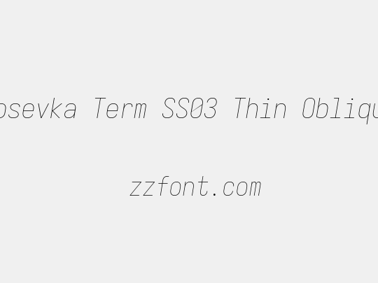 Iosevka Term SS03 Thin Oblique