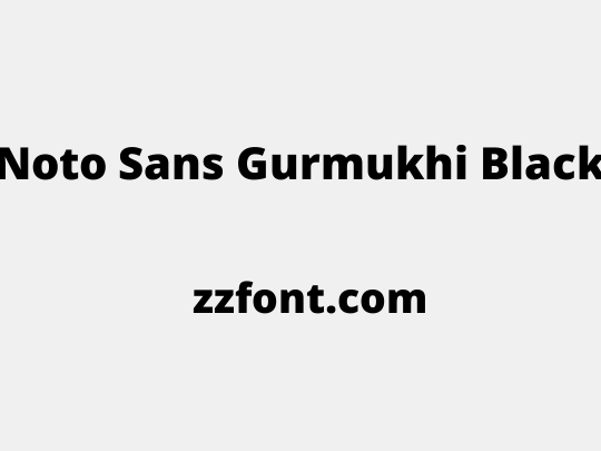Noto Sans Gurmukhi Black