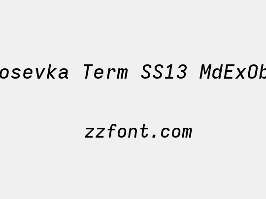Iosevka Term SS13 MdExObl