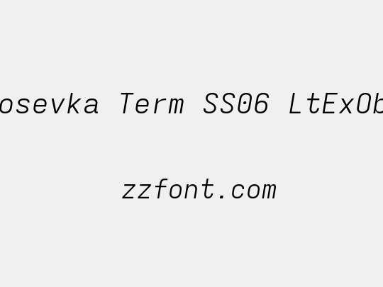 Iosevka Term SS06 LtExObl