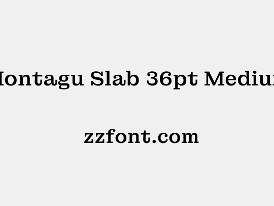 Montagu Slab 36pt Medium