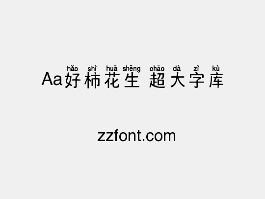 Aa好柿花生 超大字库