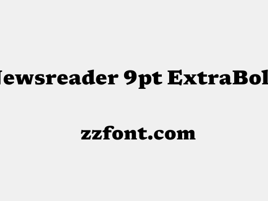Newsreader 9pt ExtraBold