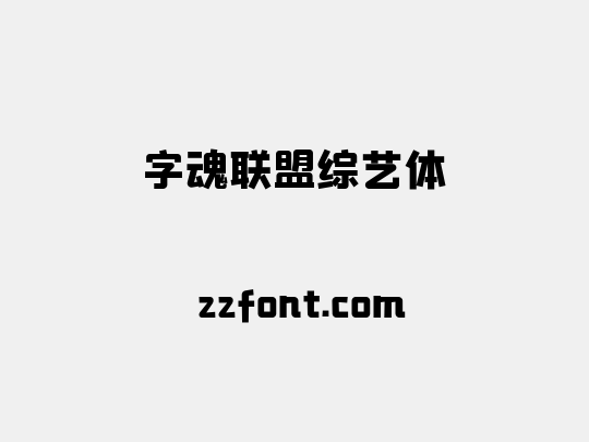 字魂联盟综艺体