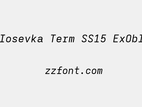 Iosevka Term SS15 ExObl