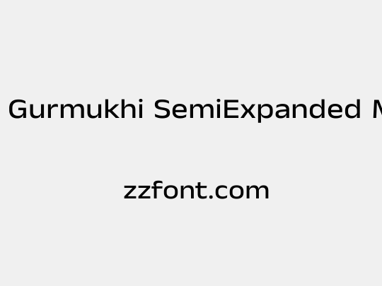 Anek Gurmukhi SemiExpanded Medium