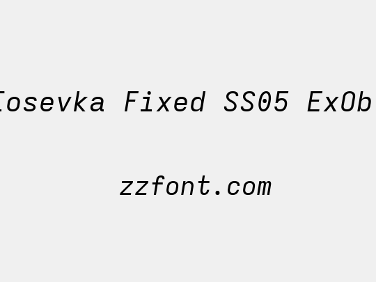 Iosevka Fixed SS05 ExObl