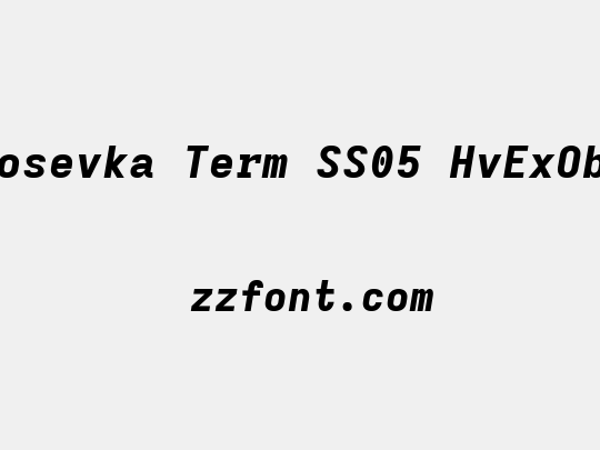 Iosevka Term SS05 HvExObl