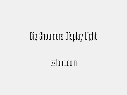 Big Shoulders Display Light