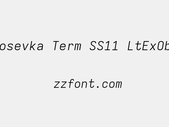 Iosevka Term SS11 LtExObl