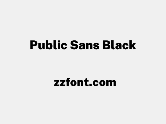 Public Sans Black