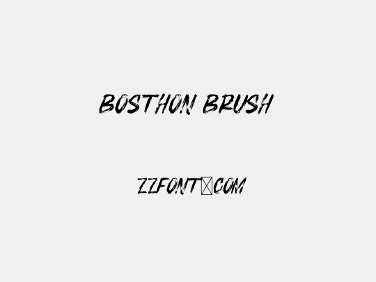 BOSTHON BRUSH