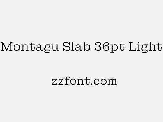 Montagu Slab 36pt Light