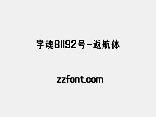 字魂81192号-返航体