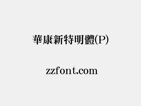 華康新特明體(P)